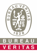 BSI